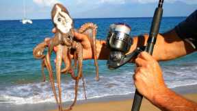 FISHING WITH OCTOPUS IN HAWAII ?