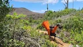 Live Hawaii Wood Chipping Near Fissure 8